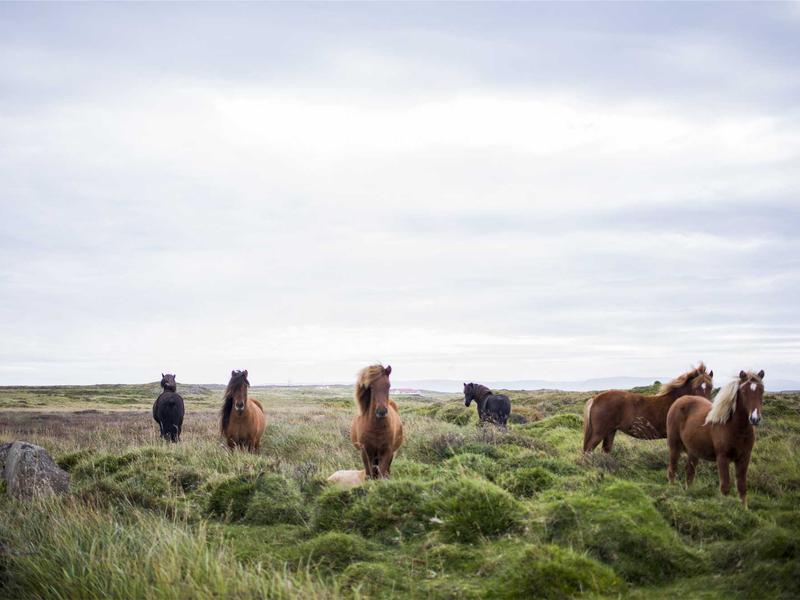 苹果续航全套<br>掉电/发烫/耗电一站式优化